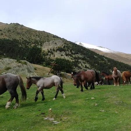 Taga Ribes De Freser